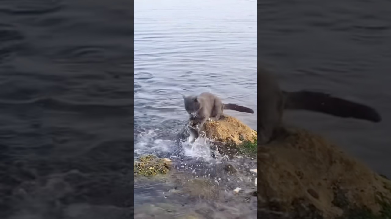 Кому что 😳 