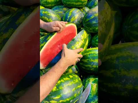 فتح البطيخ الاحمر   عشاءلذيذ     