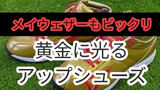 メイウェザーもびっくり！飛鳥のアップシューズが黄金に【野球、ソフトボール】