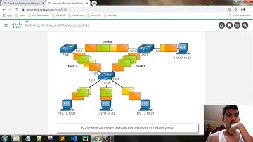 Module 5: STP Concepts Review