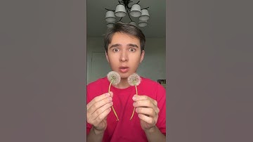 Trying strange combos!🤩Radmiru#shorts