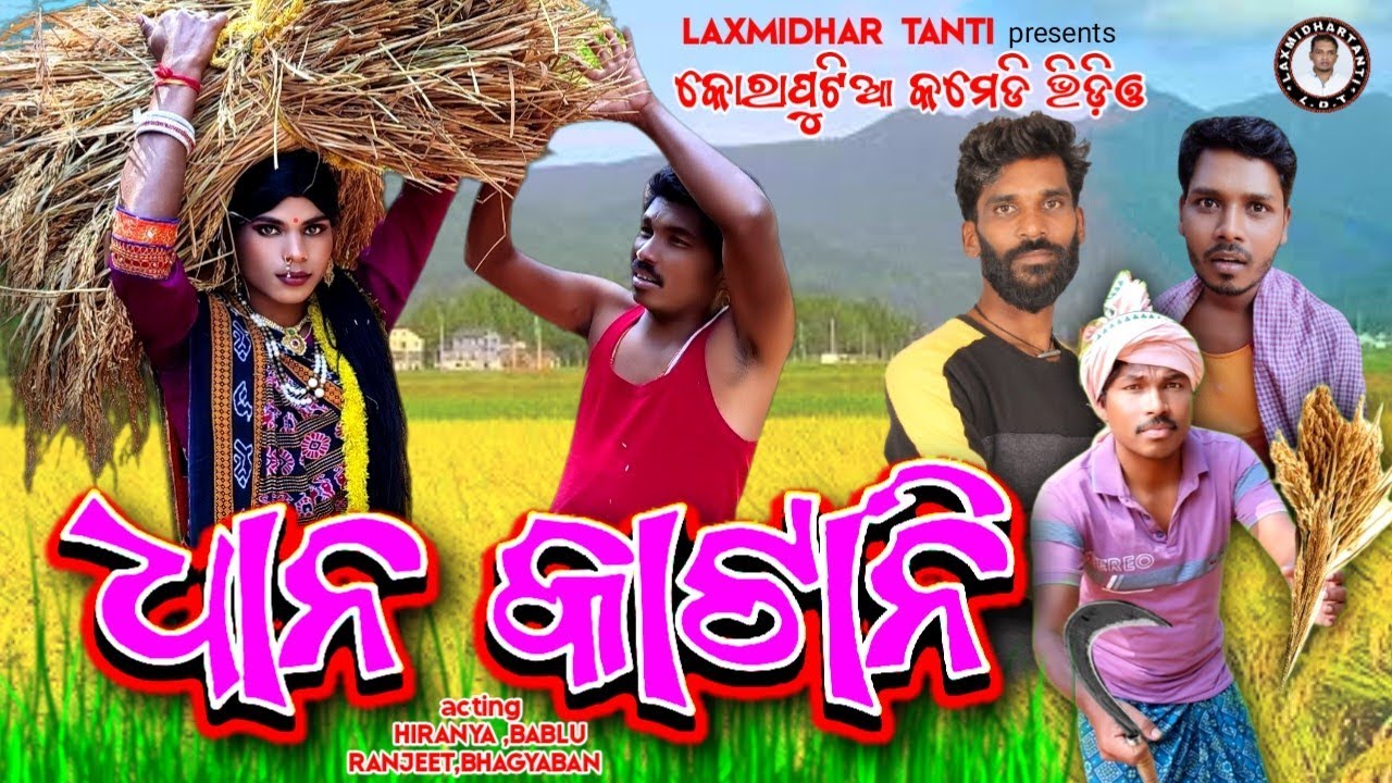 Dhan katani || ଧାନ କାଟାନି || New koraputia comedy video || koraputia comedy song || Laxmidhar tanti