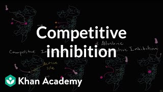 Competitive Inhibition