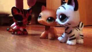 LPS: Коты-Воители: возрождение Небесного Племени (short film) LPS: Коты-Воители: возрождение Небесного Племени (short film)