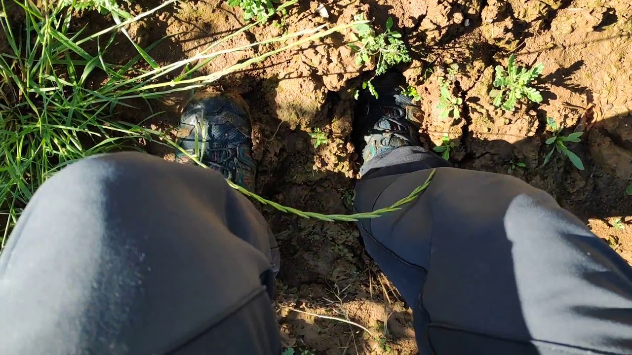 Cubierta vegetal frente a laboreo