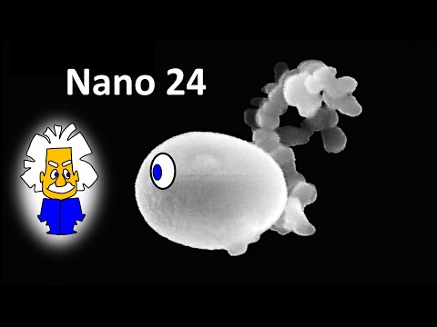 Video: Welche der folgenden Beispiele sind im Nanometerbereich?