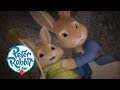 Peter rabbit  the wrong rabbit hole  cartoons for kids