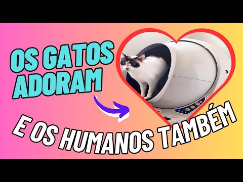 Vídeo: As Melhores Ninhadas De Gatos Para Caixas De Areia Automáticas