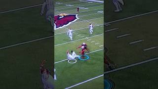 Madden 25 Arizona Cardinals- sonic