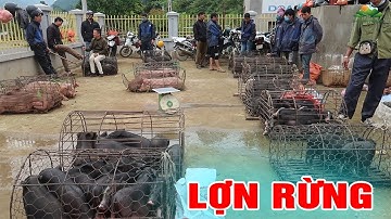 Mộc Mạc chợ phiên MUỔI NỌI - SƠN LA bán nhiều đặc sản Tây Bắc | Tôi Người Vùng Cao