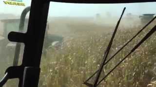 Wood Farms Corn Harvest Kansas 2012