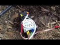 Automatic Garden Watering 12v