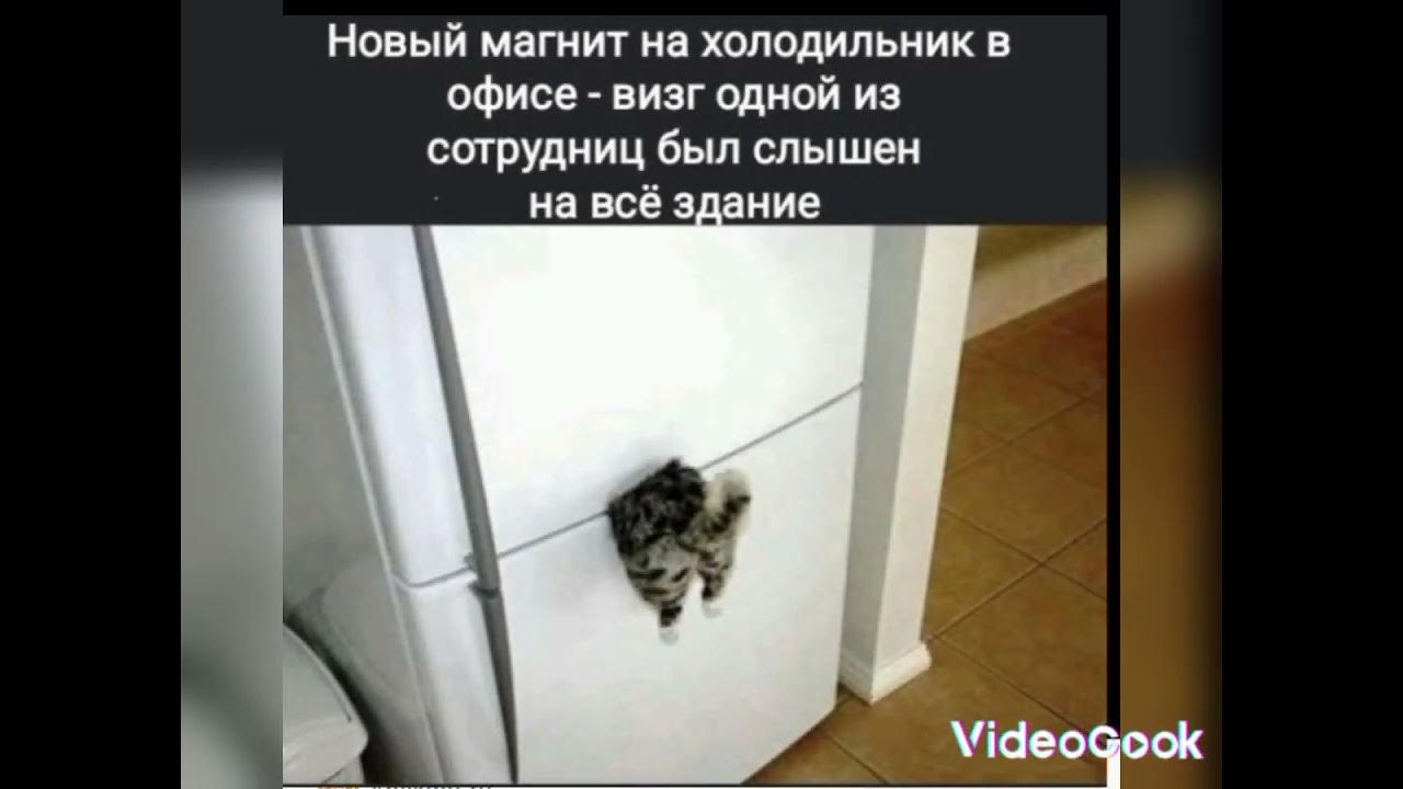 Смешные картинки с надписями про работу