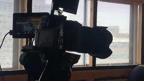 delphin 6 FIL et toto kabeya zamar