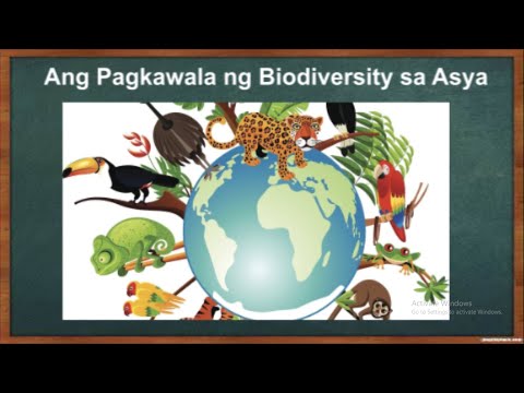 Ang Pagkawala ng Biodiversity sa Asya