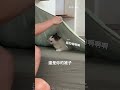 晚上就蓋這件你們最好來一起睡！ #寵物 #cat #貓咪 #貓 #貓咪日常