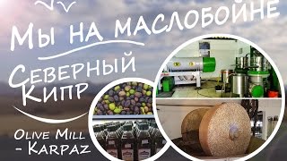 Северный Кипр 2016 - Маслобойня 