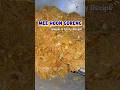 Mee Hoon Goreng by Me | Simple & Tasty! #meehoon #easyrecipes #mystylecooking #cookingshorts