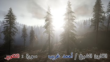 سورة التكوير - القارئ الشيخ / أحمد غريب