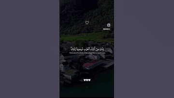 #القرآن_الكريم#اكسبلور#المصحف#حالات_واتس#بسم_الله_الرحمن_الرحيم#تلاوة_خاشعة#سورة_لقمان