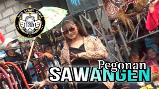 SAWANGEN || Sintya Joget Pegonan All Artis Lagu Jaranan ROGO SAMBOYO PUTRO Live Bangkerep Tarokan