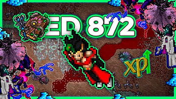 ED 872 Hunt x4 Furious Crater 11.5kk/h Raw + 7.6kk Profit (Rapid Resp) - Tibia Hunt [13.21] #tibia
