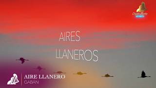 Video thumbnail of "GABÁN | AIRE LLANERO"