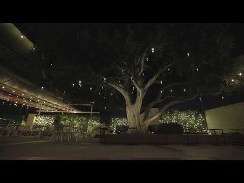 The Courtyard Café