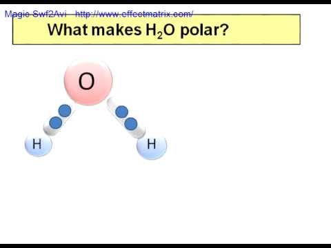 What Makes Water Polar? - YouTube