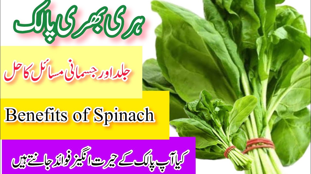 پالک کے فائدے Benefits of Spinach palak ke Fayde in Urdu / Hindi