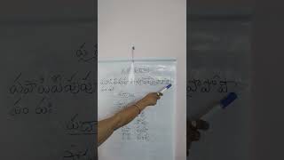 పాప. పీపా