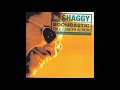 Shaggy - Boombastic 1 hour