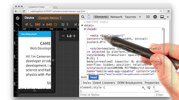 Setting the Viewport Solution - Responsive Web Design Fundamentals