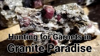 Garnet Hunt in Granite Paradise #rockhounding #garnets #geology #rockgarden