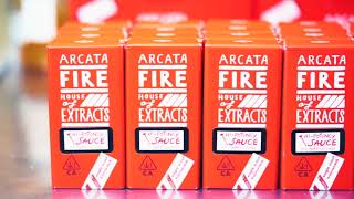 Arcata Fire - Hi-Potency Formula Live Resin Carts - Category Highlights