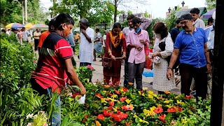 Bagbazar Sokher Haat Flower Plants Market | Summer Season Plants Update | Hibiscus Bougainvillea by Bangla No. 1 768 views 2 weeks ago 2 minutes, 26 seconds