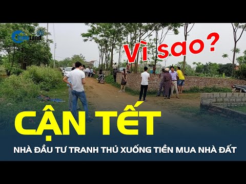 Hé lộ lý do khiến nhà đầu tư tranh thủ xuống tiền MUA NHÀ ĐẤT ngay những ngày cận Tết | CafeLand 2023 mới nhất