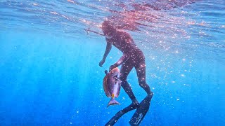 Spearfishing with Djenis - Ep. 1 | Calheta São Miguel | Santiago | Cabo Verde (by @orlakriolo )