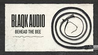 Watch Blaqk Audio Behead The Bee video