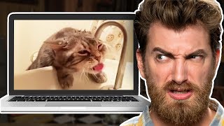 Reacting to the Cutest Cats on the Internet Reacting to the Cutest Cats on the Internet