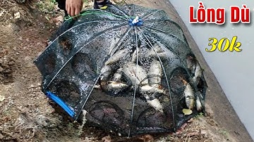 30k/1c Lồng Ô Bát Quái 4, 6, 8, 12, 16 cửa Chuyên Bẫy Bắt Tôm, Cua, Cá, Lươn,Trạch Giá Rẻ 0989324396