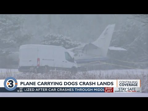 3 people, 56 dogs OK after plane goes down in Wisconsin