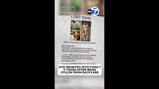 Dog reunited with family 11 years after being stolen