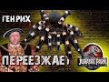 Аcanthoscurria geniculata (АКАНТОСКУРИЯ ГЕНИКУЛЯТА) и с чем ее едят)