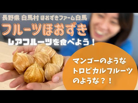 #食用ほおずき#食オタ#お取り寄せ【開封動画】レアフルーツを食べよう！ほおずきファーム白馬よりフルーツほおずきを取り寄せてみました♪