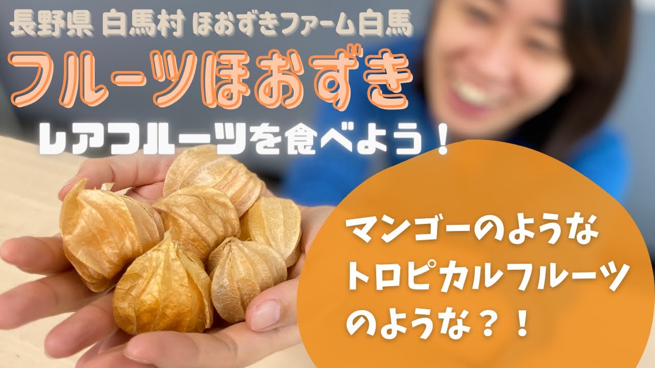 食用ほおずき 食オタ お取り寄せ 開封動画 レアフルーツを食べよう ほおずきファーム白馬よりフルーツほおずきを取り寄せてみました Youtube