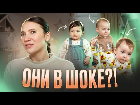 MOM DOESN'T LOOK AT ME: REACTION OF A PHLEGMATIC, SANGUINE, AND CHOLERICA PERSON