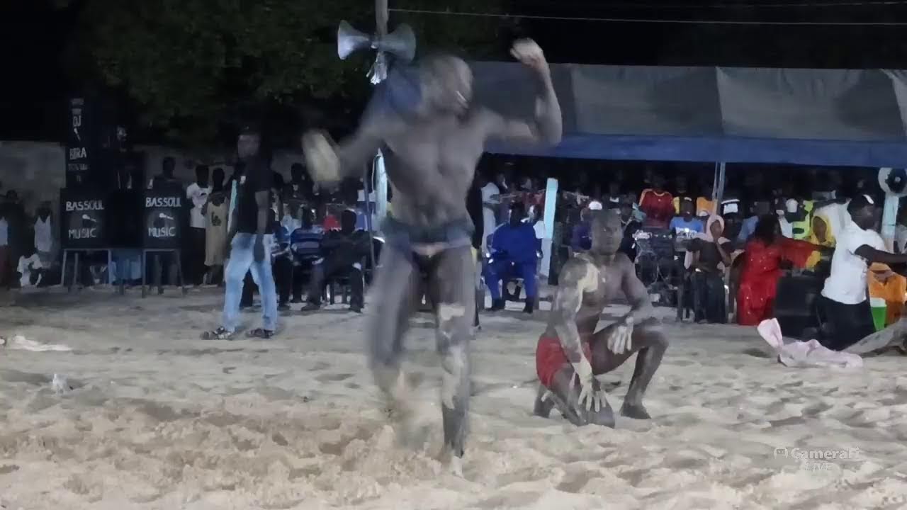 Direct Lamb Bassoul mises 12 Bœufs