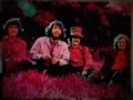 COTTON  FIELDS  - Cover 2nd take -  Creedence Clearwater Revival
