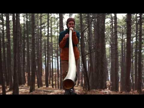 Didgeridoo Giant key